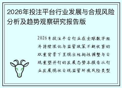 2026年投注平台行业发展与合规风险分析及趋势观察研究报告版